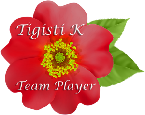 Tigisti Commendation